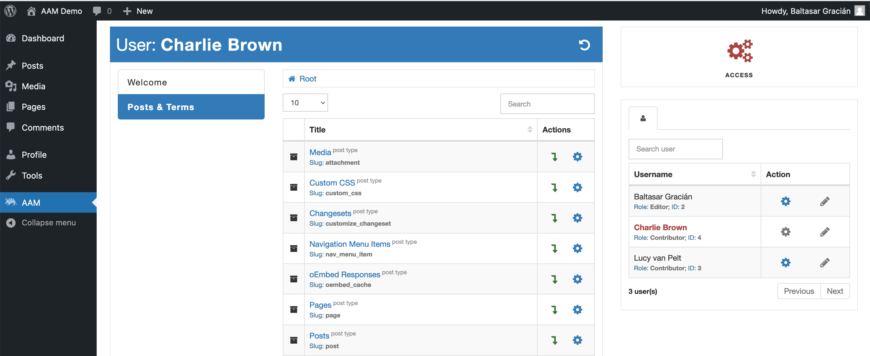 AAM Allow To Manage Content