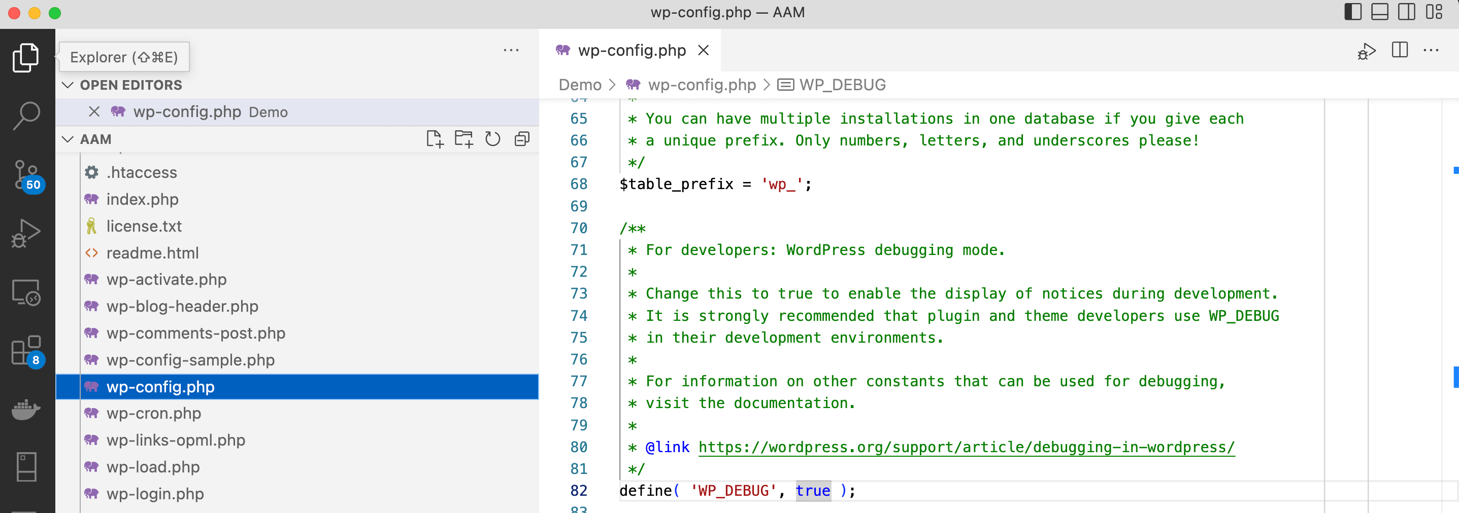 WP Debug Mode